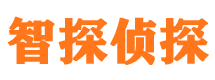 镇江外遇调查取证